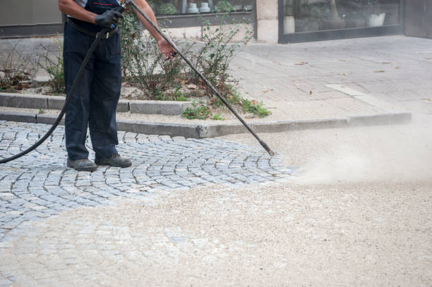 Best Dumpster Area Cleaning  in Bryn Mawr, PA